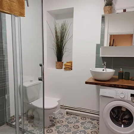 Apartmán Cosy En Hyper Centre Avec Balcon, Wifi Pau